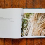 Summertime Book, fine art photography by Cig Harvey, edited by Joanne Dugan