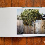 Summertime Book, fine art photography by Sze Tsung Leong, edited by Joanne Dugan