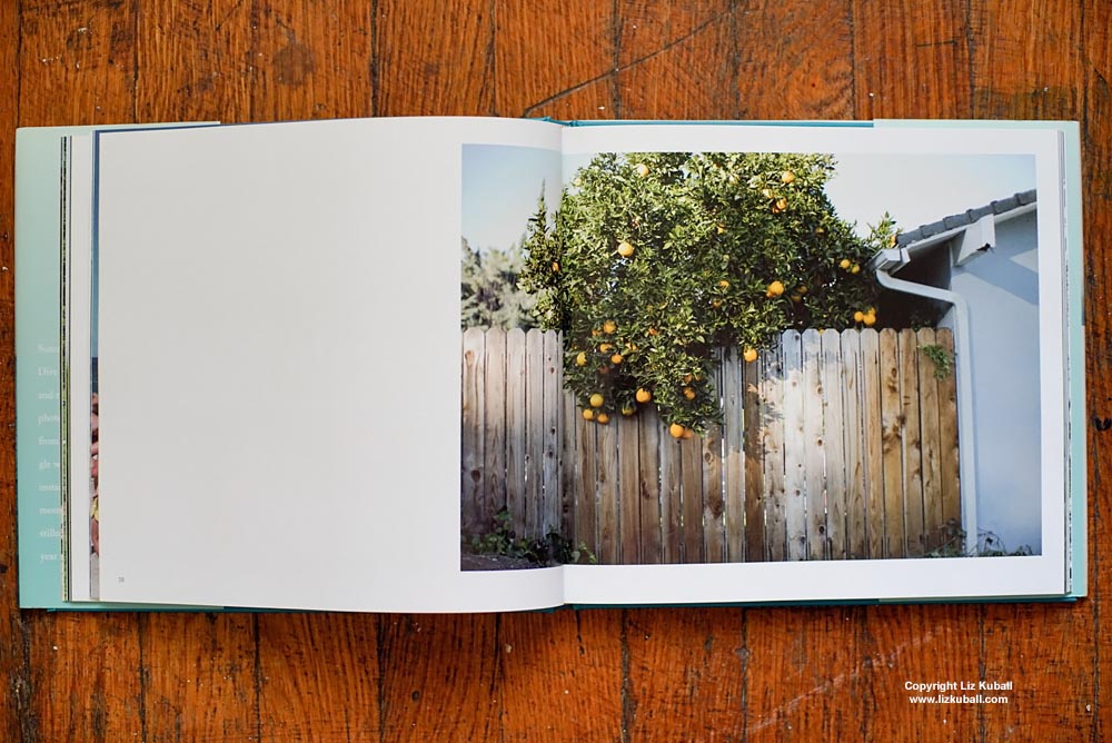 Summertime Book, fine art photography by Sze Tsung Leong, edited by Joanne Dugan