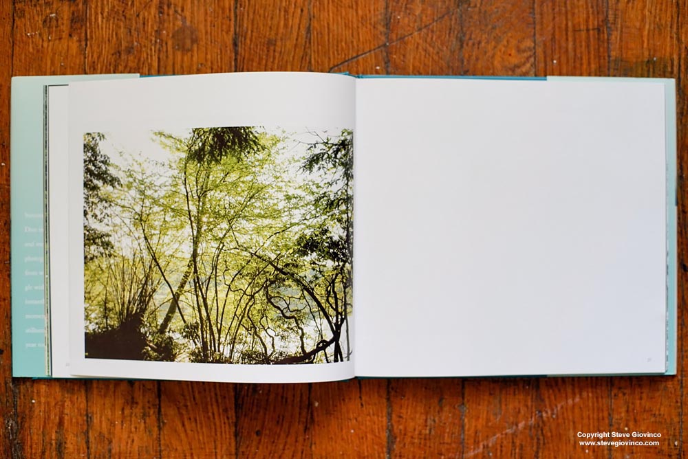 Summertime Book, fine art photography by Steve Giovinco, edited by Joanne Dugan