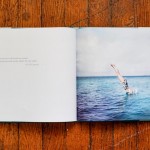 Cig Harvey Summertime Book Photography