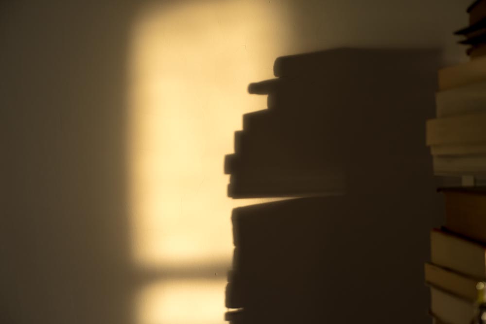 Reading afternoon shadows: photograph @SteveGiovinco