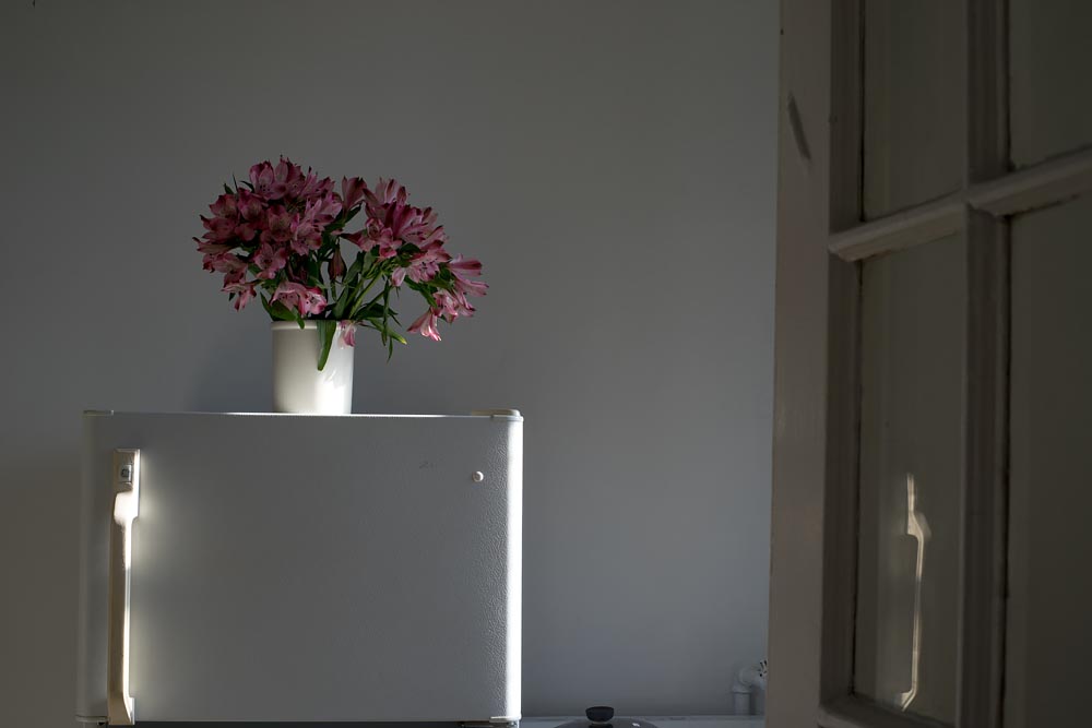 Interiors: afternoon light (flowers) @SteveGiovinco