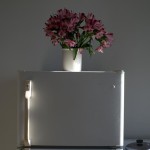 Interiors: afternoon light (flowers) @SteveGiovinco