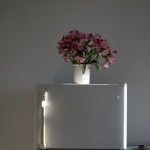 Interiors: afternoon light (flowers) @SteveGiovinco