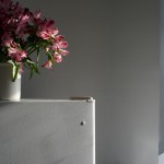 Interiors: afternoon light (flowers) @SteveGiovinco