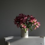 Interiors: afternoon light (flowers) @SteveGiovinco