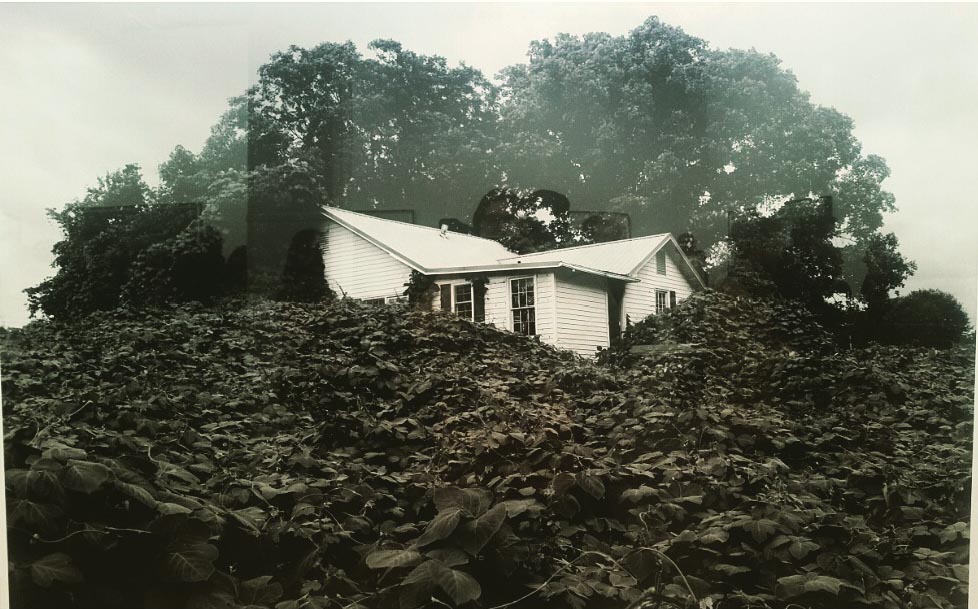 Alec Soth, Songbook @Sean Kelly
