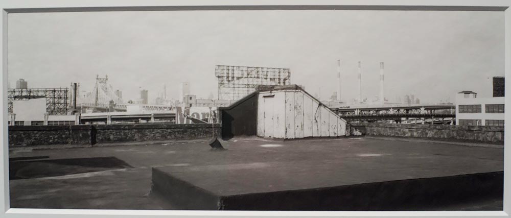 AIPAD New York 2015 Photography Highlights: Lois Conner Gitterman Gallery