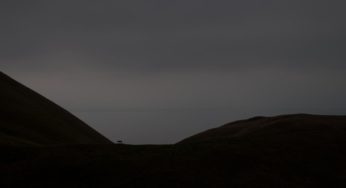 Guggenheim Fellowship Award Tips For Contemporary Fine Art Photography, Artists