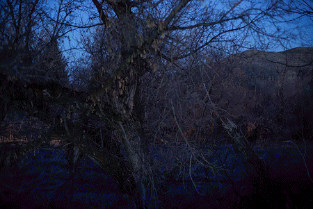 468 Nightlandscape Photographs in Wyoming, in About 47 Seconds @SteveGiovinco