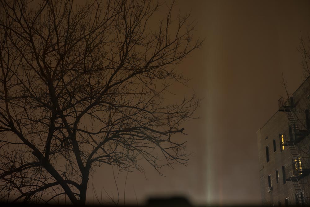 Fine art editorial photography commissions night landscape tree and light, Steve Giovinco