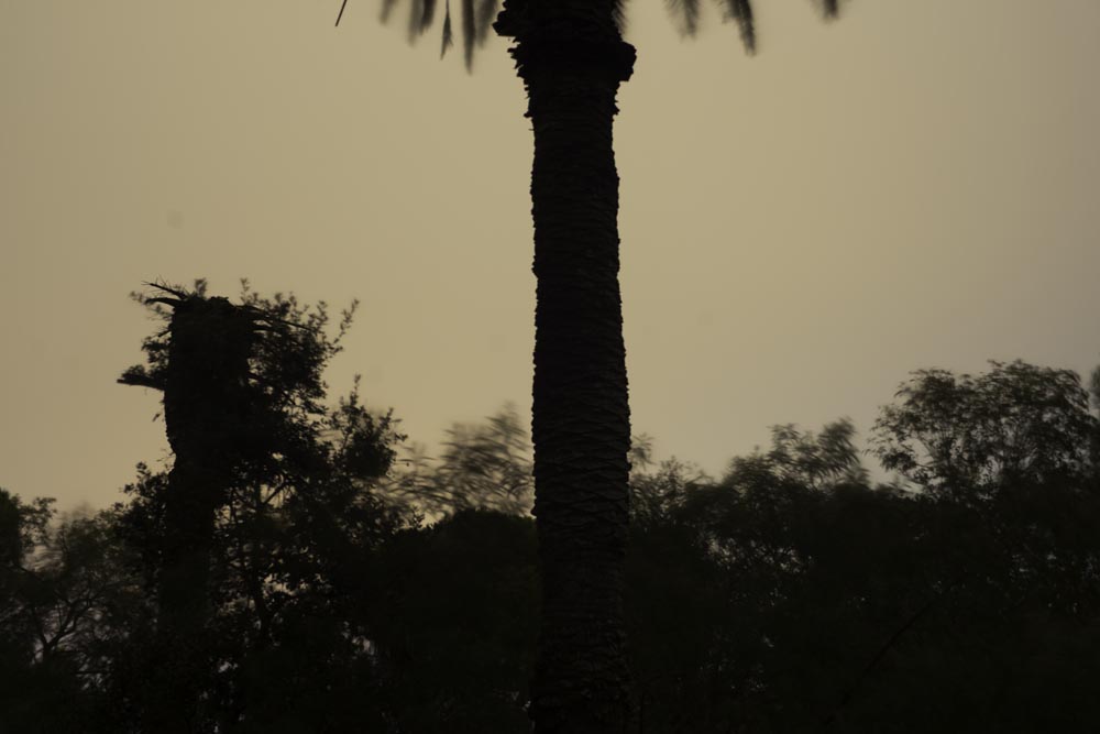 I Photographed at a 19th Century French Chateau at Night. This is What it Looks Like--Palm