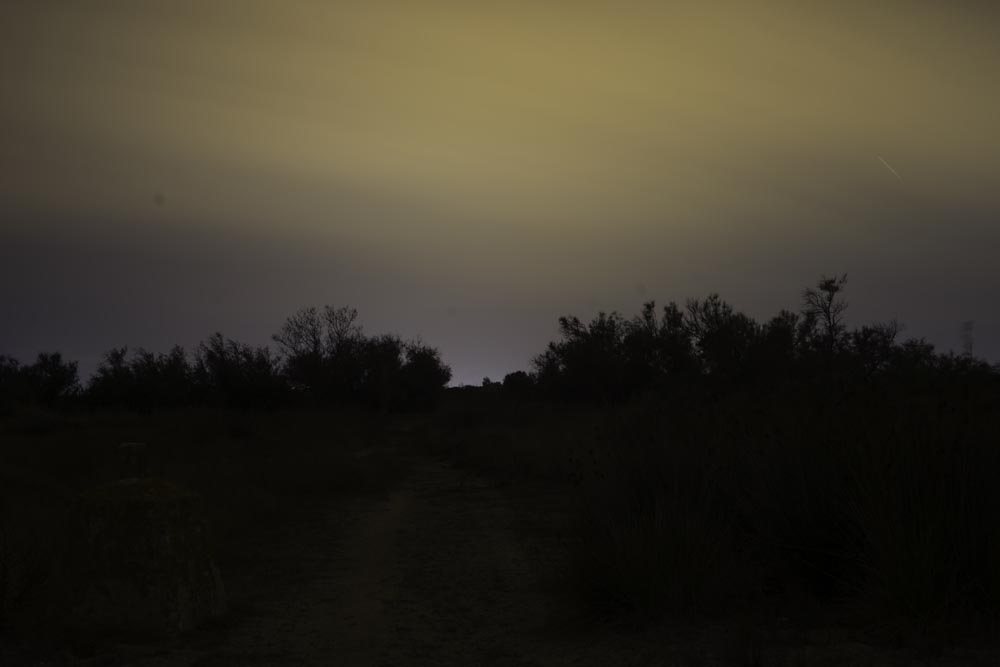 Artist-in-Residence, Rhapsodic Night Landscape Photographs and Exhibition in France: Vineyard