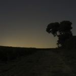Artist-in-Residence, Rhapsodic Night Landscape Photographs and Exhibition in France, Environment