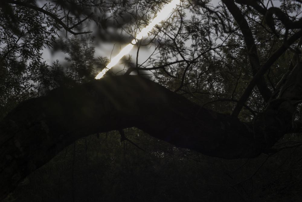 J'ai photographié au Château français de la nuit du 19ème siècle. C'est comme ça que ça ressemble lune