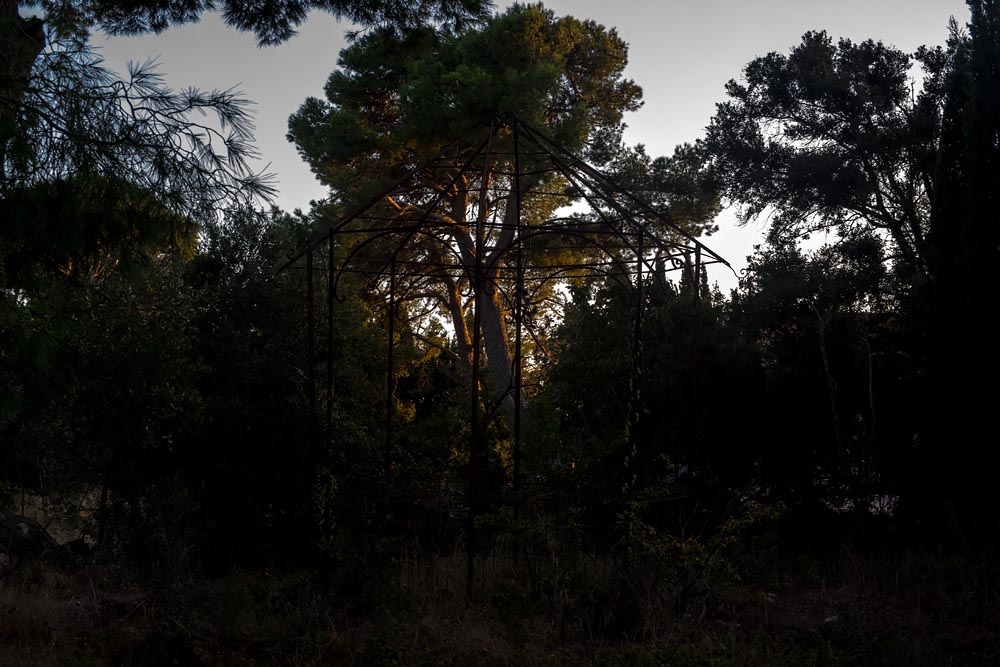 Artist-in-Residence, Rhapsodic Night Landscape Photographs and Exhibition in France: Trees in Cage