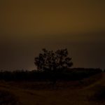 Artist-in-Residence, Rhapsodic Night Landscape Photographs and Exhibition in France: Vinyard