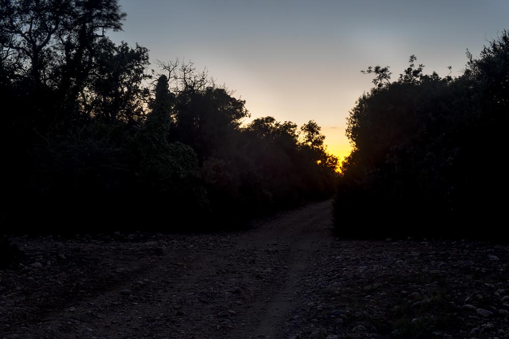 Artist-in-Residence, Rhapsodic Night Landscape Photographs and Exhibition in France: Twilight Path