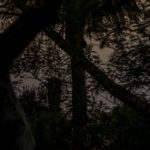 Artist-in-Residence, Rhapsodic Night Landscape Photographs and Exhibition in France: Crossed Palms