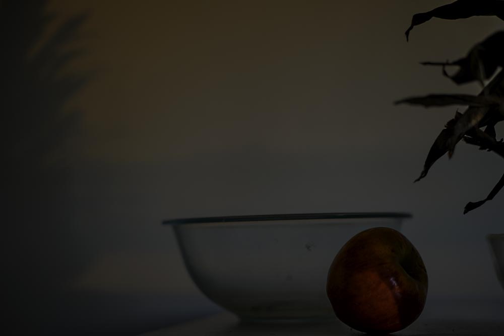 Still Life in the Afternoon: Using the Sony a7Riii with Zeiss Loxia 50mm Lens