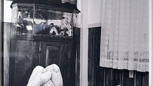 AIPAD New York 2015 Photography Highlights