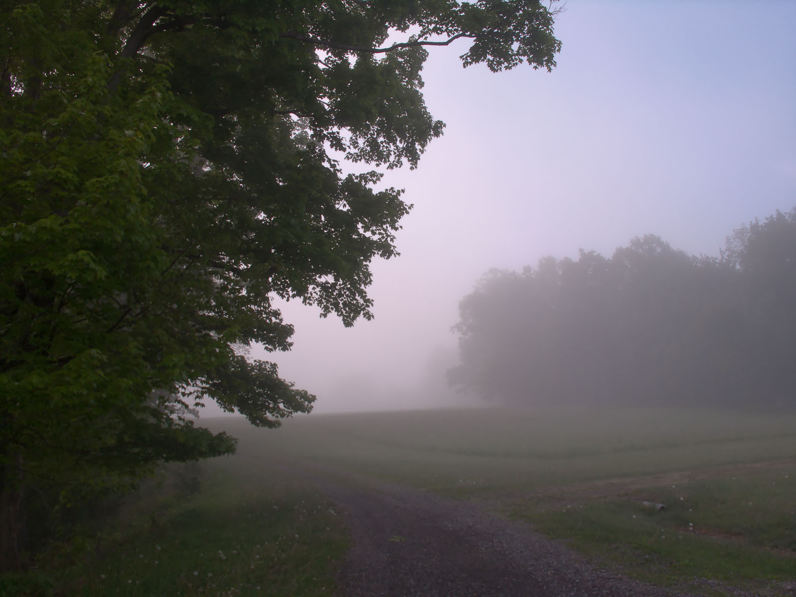 Eclipse-Fine Art Photography Series: Eagles Mere, Fog