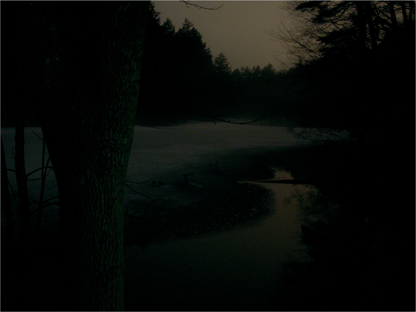 An Eerie Night in Winter: Icy Pond