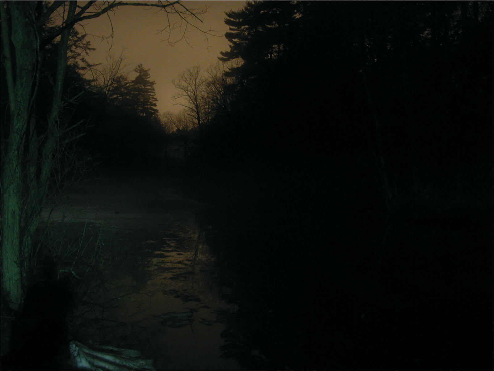 An Eerie Night in Winter: Pond and Tree