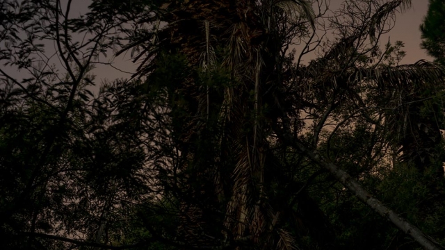 Fine Art Photography Project Traces Links to Climate Change in the South of France