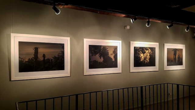 Fine Art Photography Project Traces Links to Climate Change in the South of France