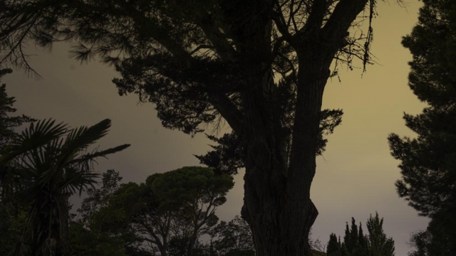 I Photographed at a 19th Century French Chateau at Night. This is What it Looks Like