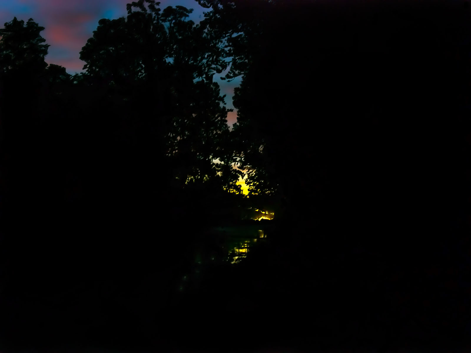 Eclipse-Fine Art Photography Series: Tree Along Canal