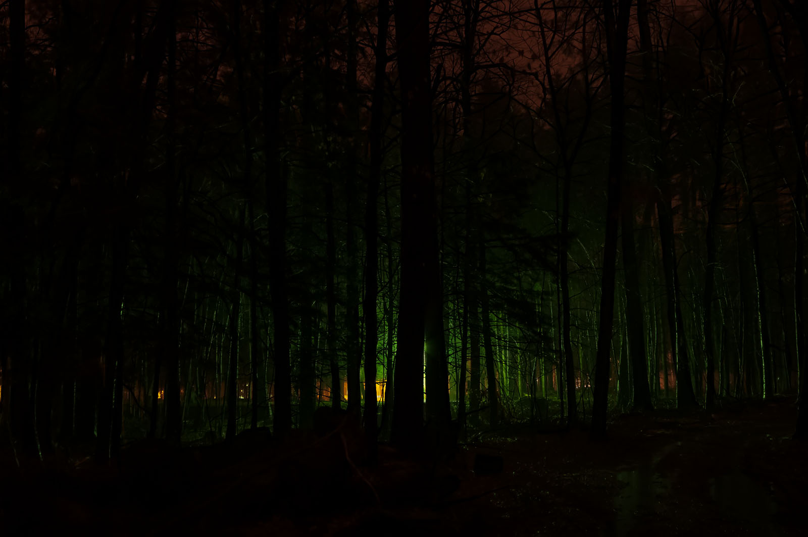 Lyrical Night Landscape Photographs: Eerie Green Light