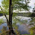 Remember Summertime? Time spent by the lake, early bright morning