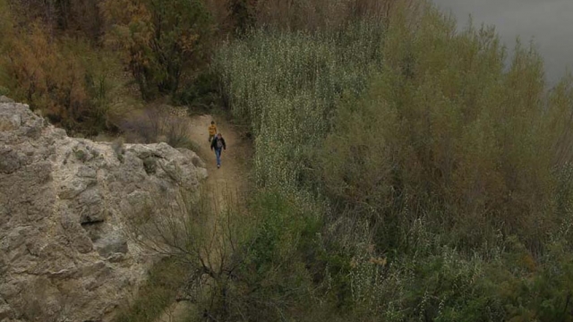 Slightly Mythic View from Above: People in Landscape, Big Bend National Park