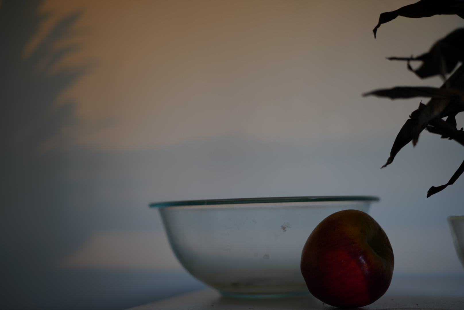 Still Life in the Afternoon: Using the Sony a7Riii with Zeiss Loxia 50mm Lens