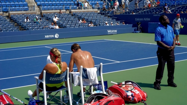 The Art of Tennis: Views of the US Open [Photograph], Steve Giovinco