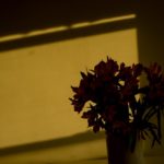Scenes from a Life: Ch. 3, Dad (Flowers, Afternoon Light)