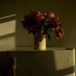 Scenes from a Life: Ch. 3, Dad (Flowers in Light)
