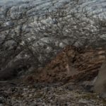 Night Landscape Photographs of Climate Change in Greenland: Primordial Rocks