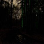 Until the End of the World: Natural and Artificial Light in Remote Landscapes (Puddle Winter Road)