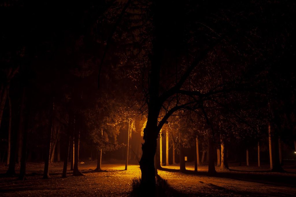 Until the End of the World: Natural and Artificial Light in Remote Landscapes (Tree in Orange)