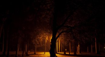 Career Narrative, Steve Giovinco Fine Art Photography