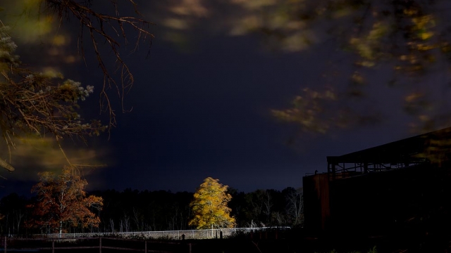 Silence of the Lambs Mixed with Gordon Matta-Clark: Residency in a 100 Year-Old Abandoned Mill in Michigan