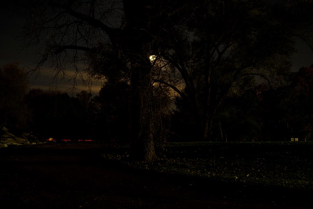 steve-giovinco-michigan-What Photographing at Night in an Abandoned 100-Year Old Factory Looks: Michigan Artist-in-Resident Moon and Trees