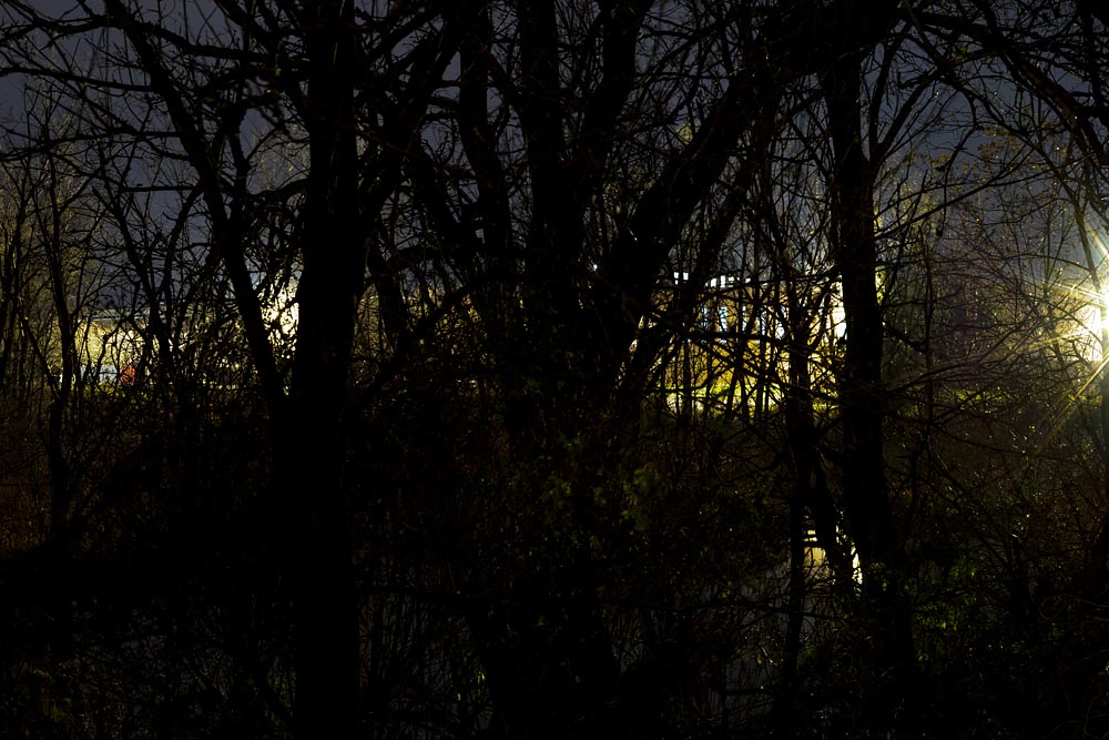 steve-giovinco-michigan-What Photographing at Night in an Abandoned 100-Year Old Factory Looks: Michigan Artist-in-Resident Strange Night Trees