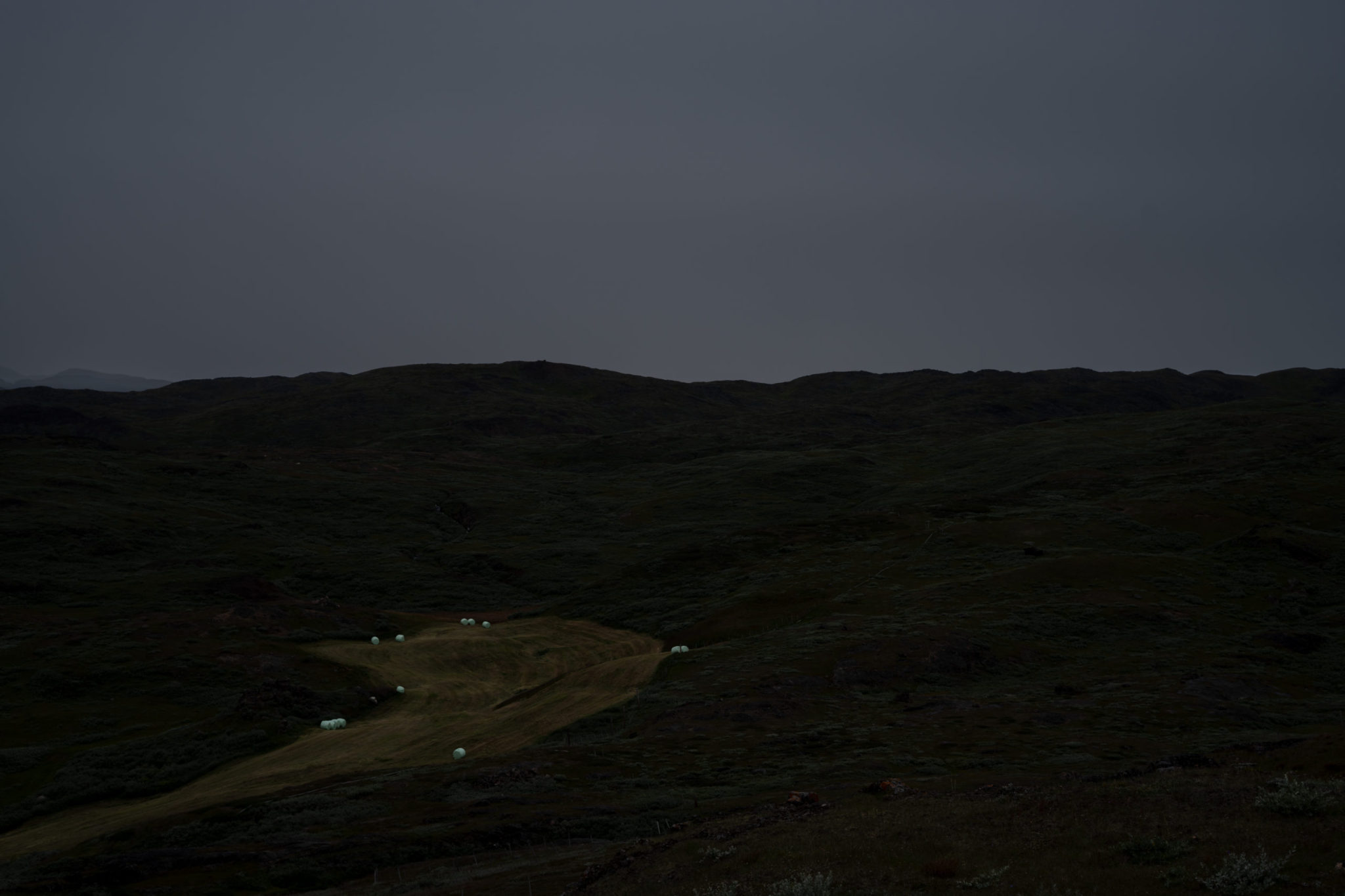 Fine Art Landscape Photographs of Arctic Greenland, Steve Giovinco: Field