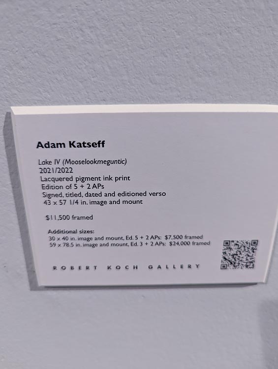 AIPAD 2022: Best Photos I've Seen Steve Giovinco