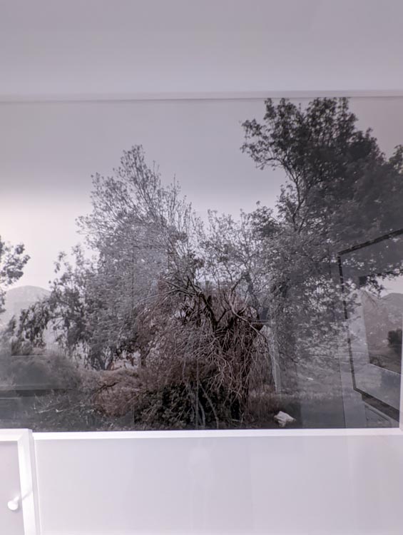 AIPAD 2022: Best Photos I've Seen Steve Giovinco